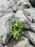 源池設計室外構工事