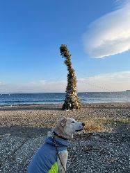 暮らしを楽しむ設計事務所