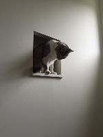 信州別荘設計源池設計室