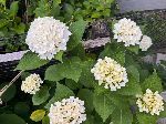 松本市住宅設計源池設計室