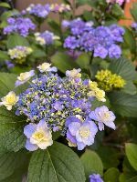 松本市住宅設計源池設計室