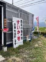 太田屋スイカ